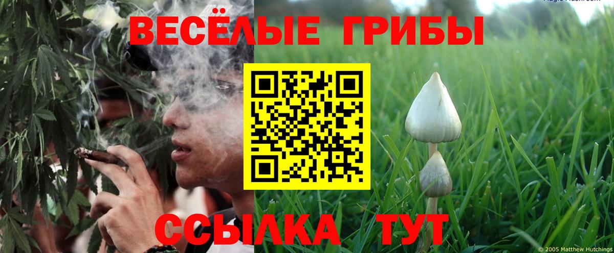 Галлюциногенные грибы ЛСД  Вход с VPN  Выборг 